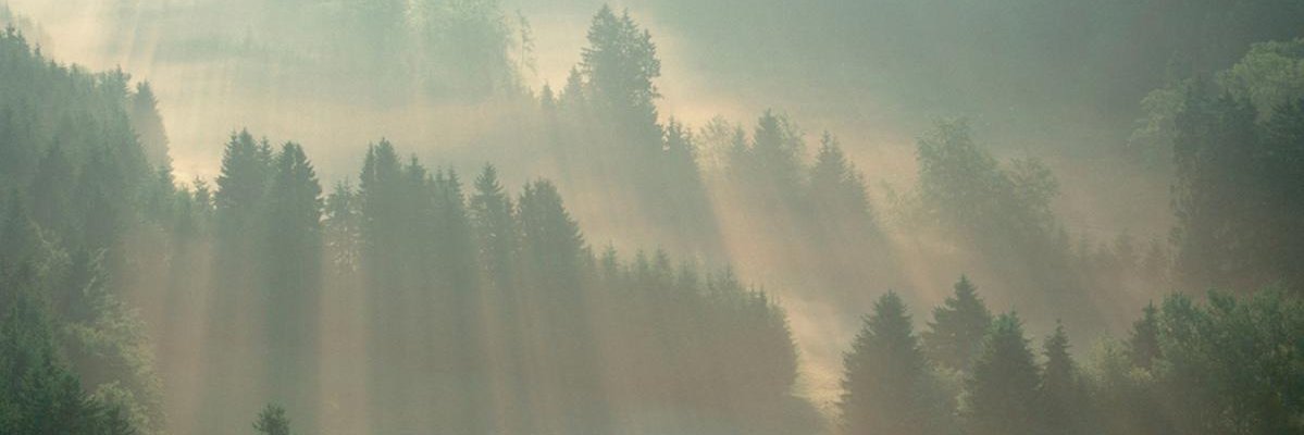 ribboss22's profile banner image