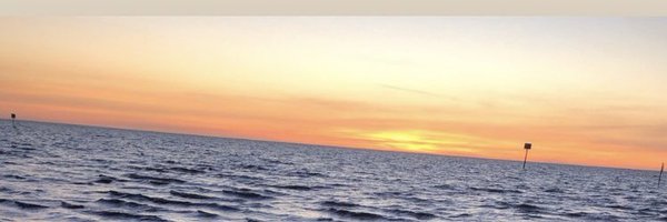 caryforte Profile Banner