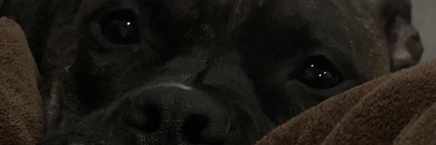 uhhcielo's profile banner image
