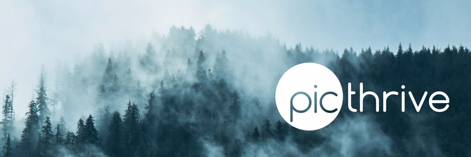 PicThrive banner