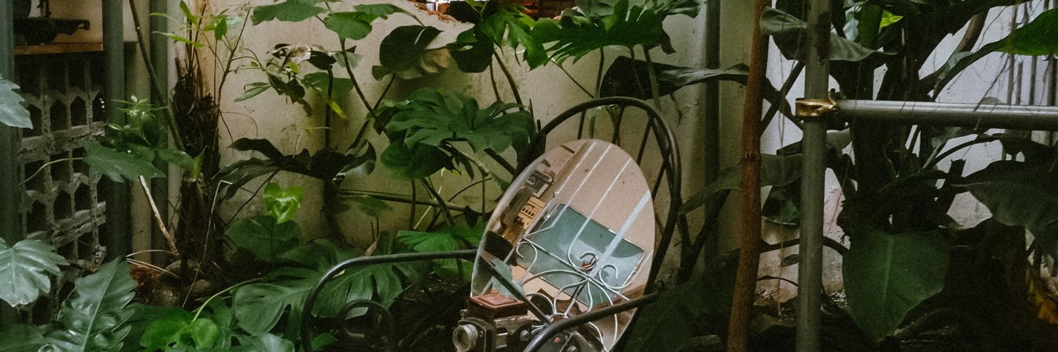 aibipolar's profile banner image