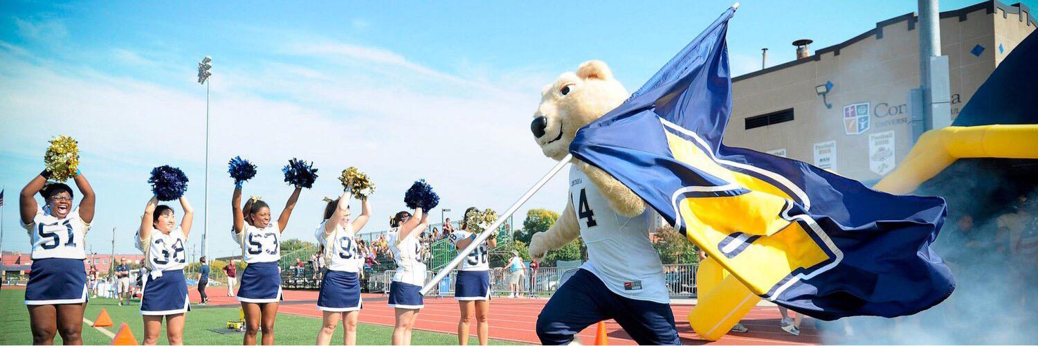 Comet G. Bear banner