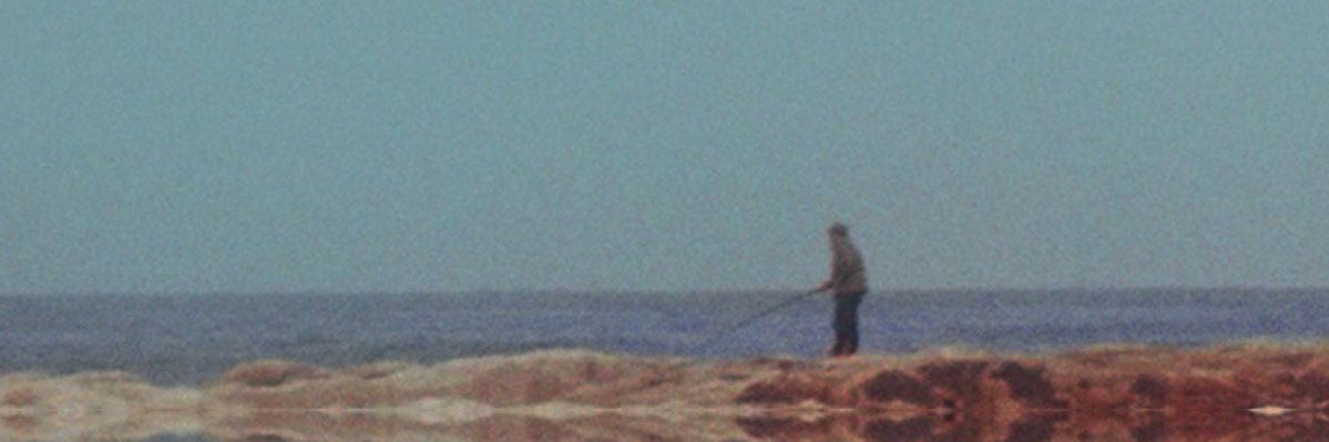 dill banner