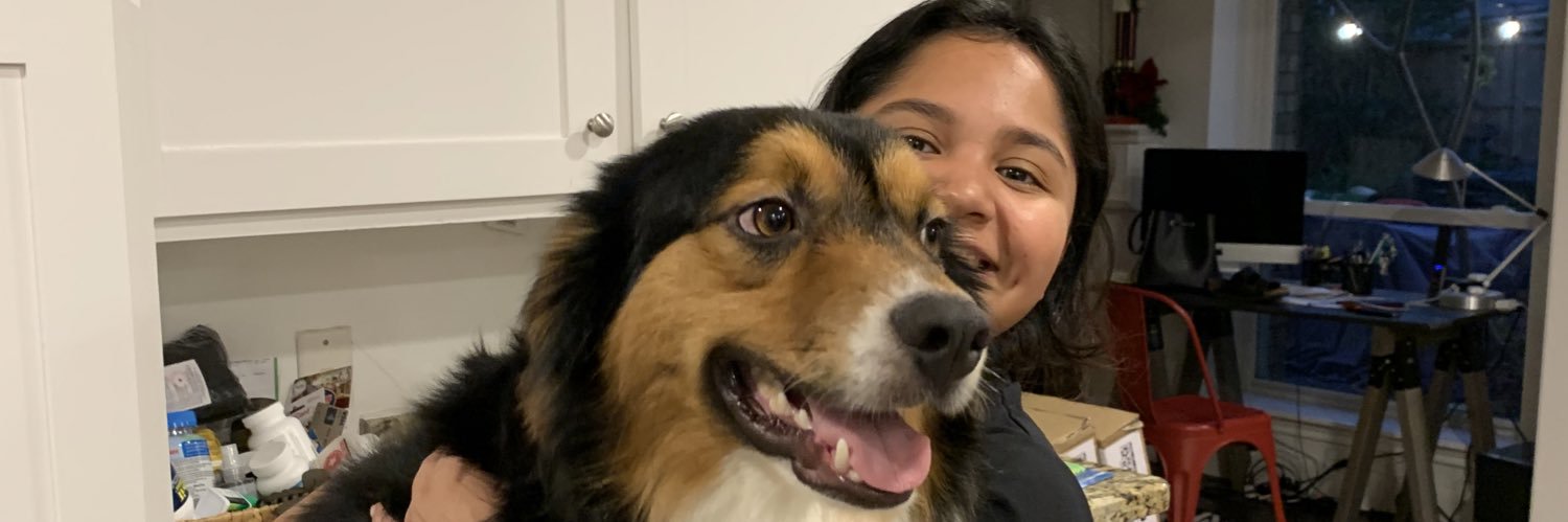 ausalv's profile banner image