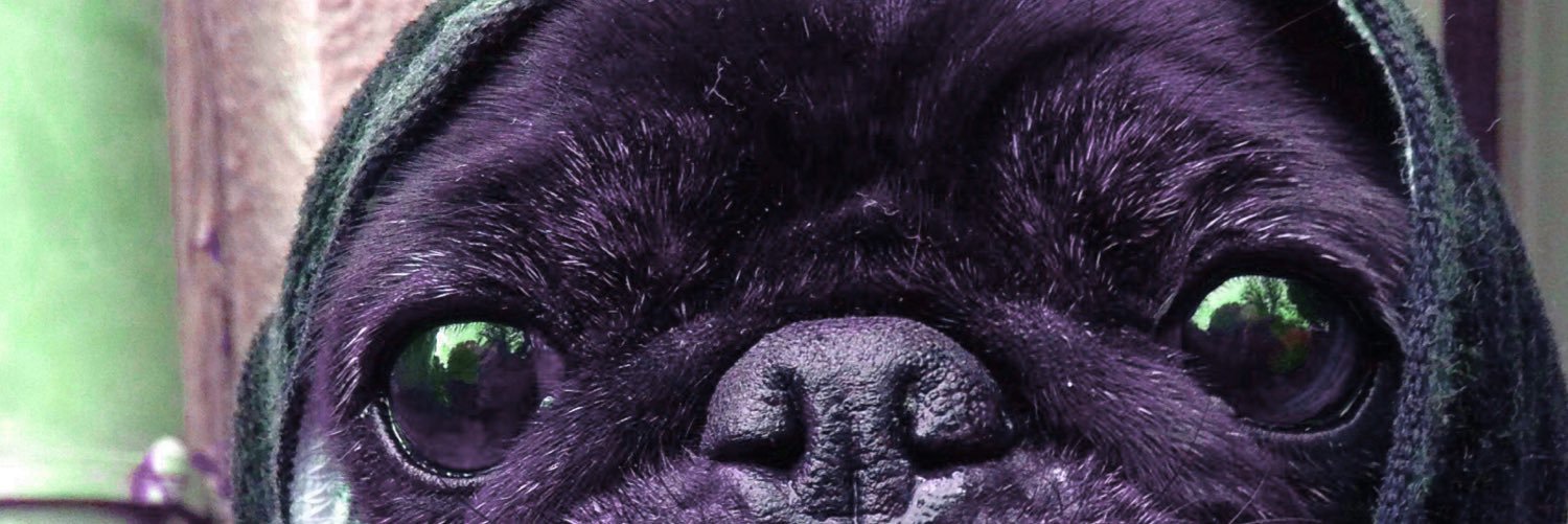 Ettcccy_V.T.O.L. banner