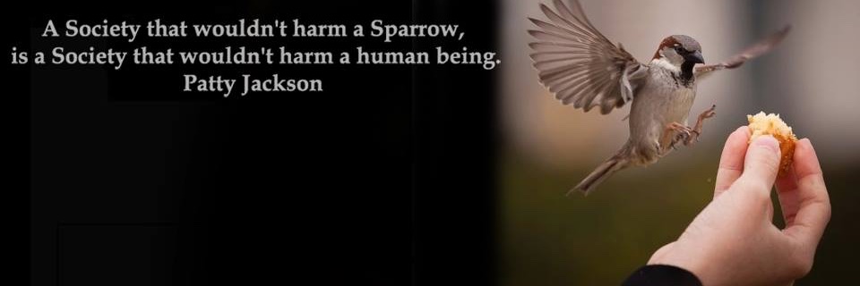 JacksonPatty7's profile banner image