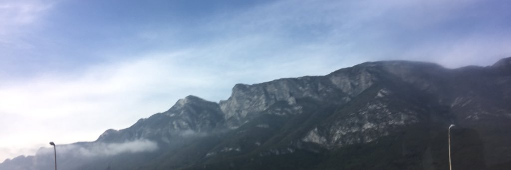 Mundo Natural banner
