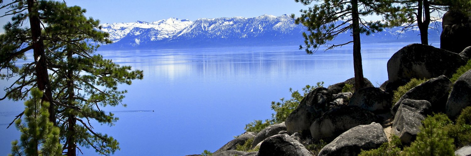 Eric Bucchere banner