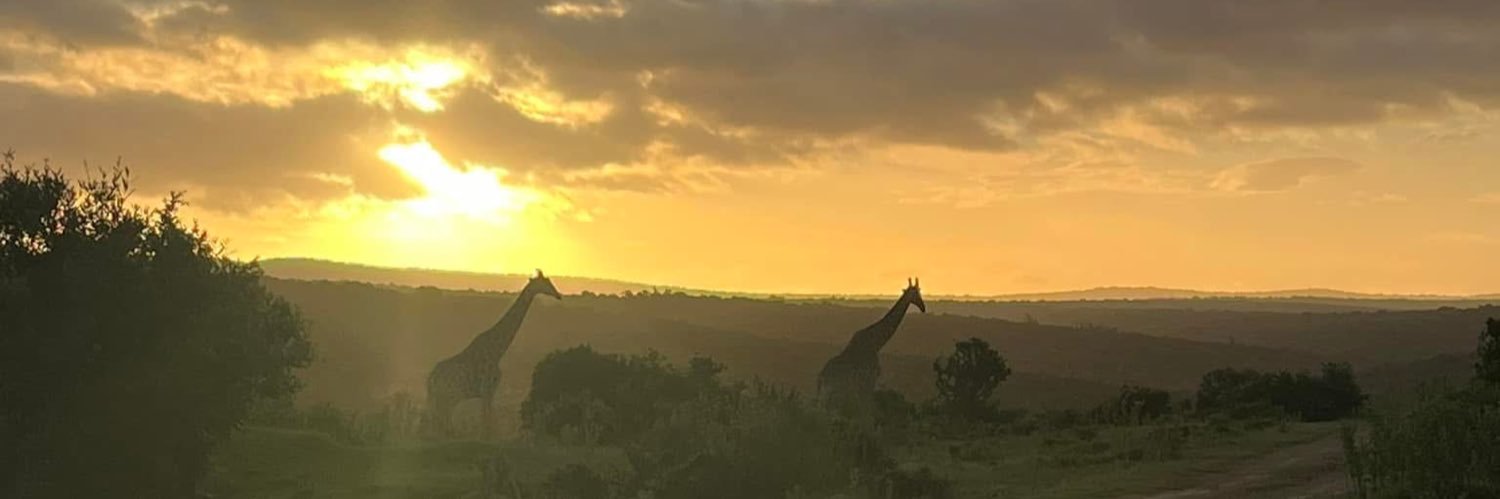 DannyJVeale's profile banner image