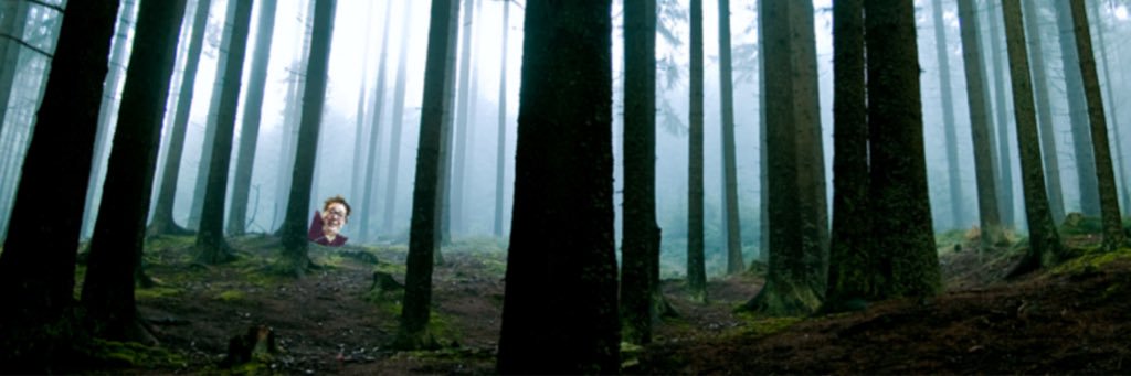 annie__bean's profile banner image