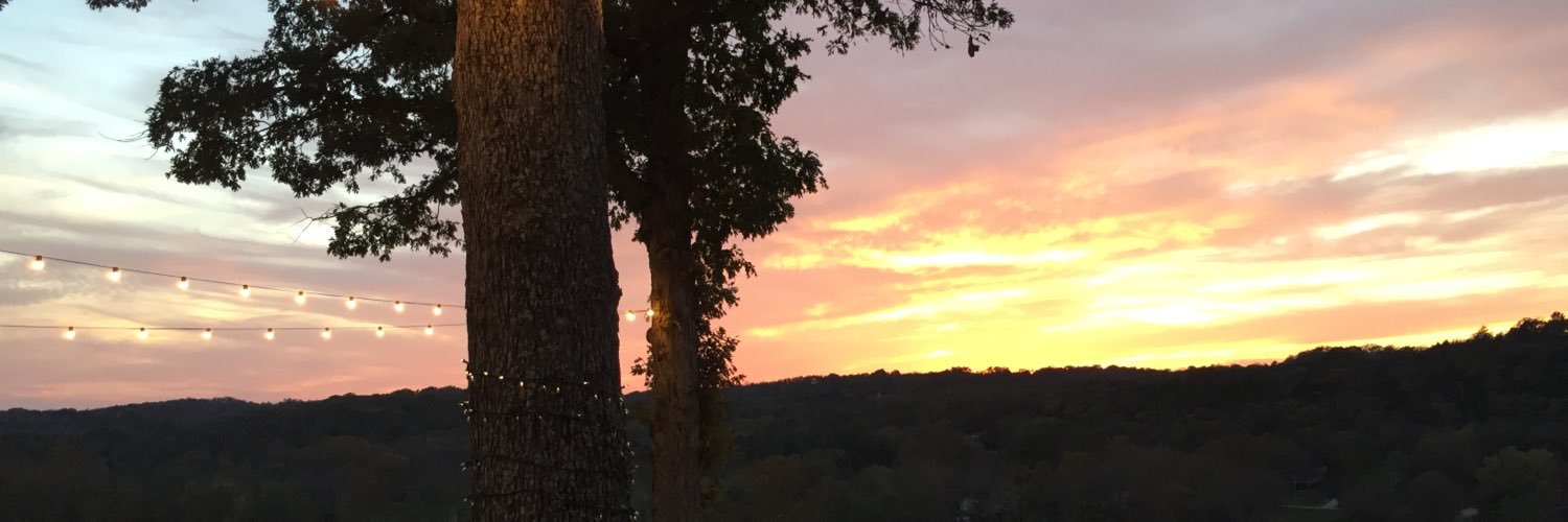 Meghan_317's profile banner image
