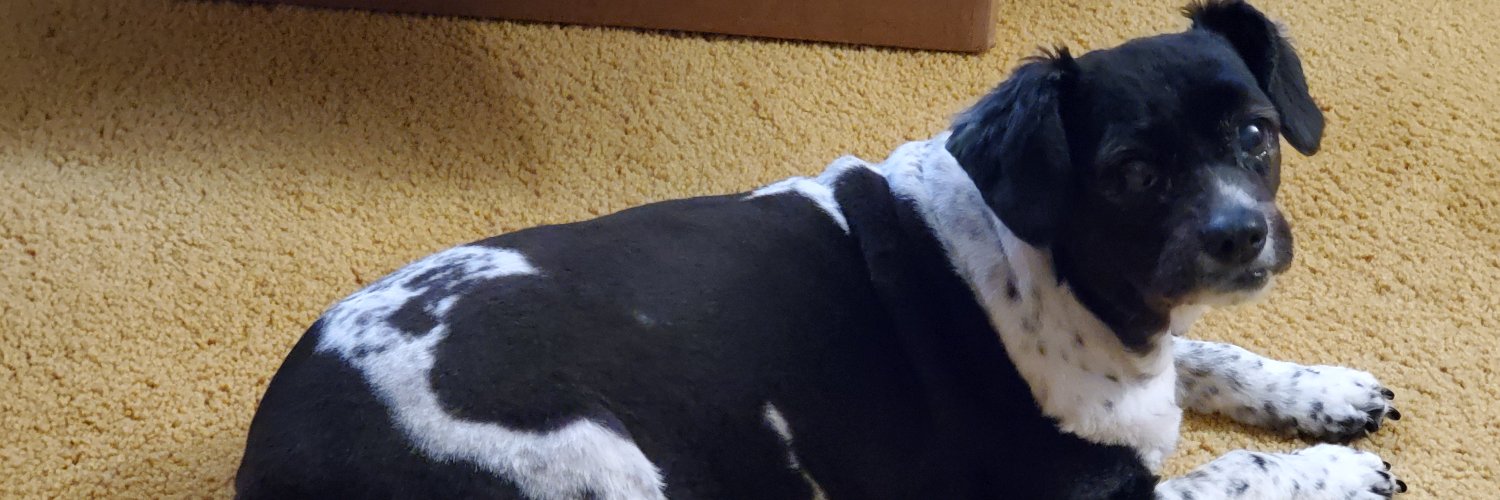 GToddbennett's profile banner image