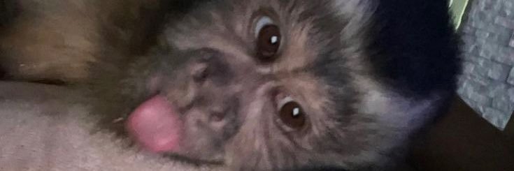 giulianni_'s profile banner image