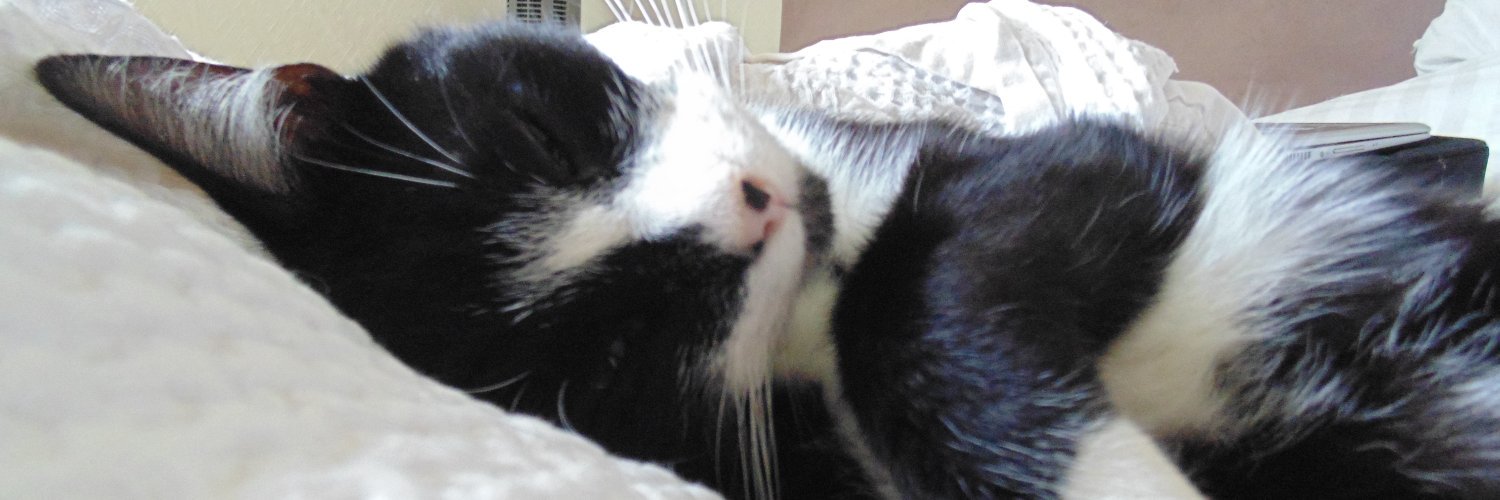 aitchbee an cailleach 🏴󠁧󠁢󠁳󠁣󠁴󠁿 banner