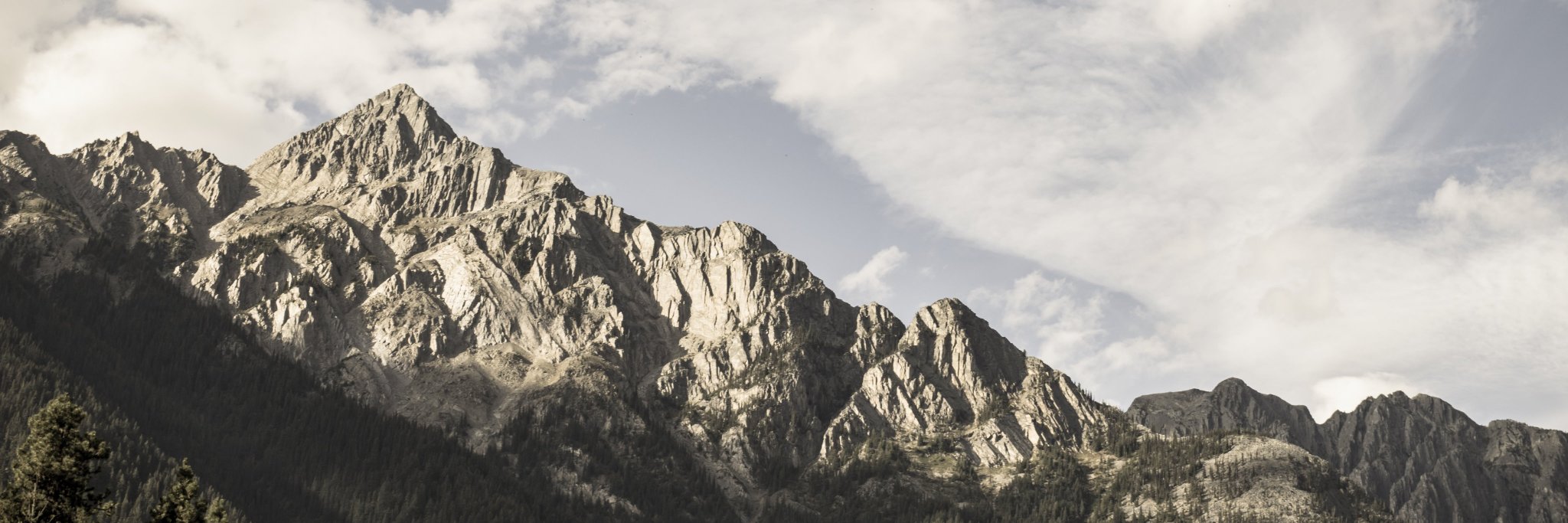 sharellecassidy's profile banner image