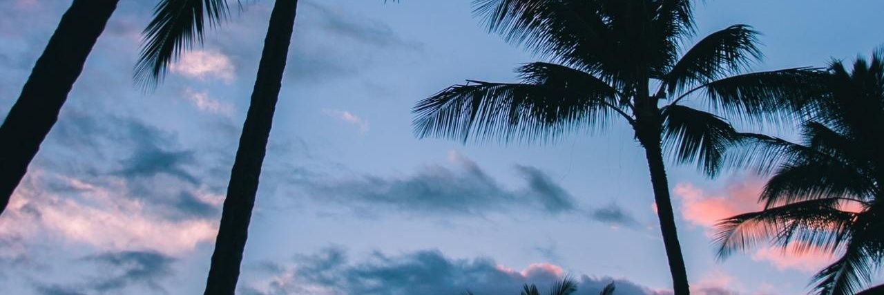 kattymae's profile banner image