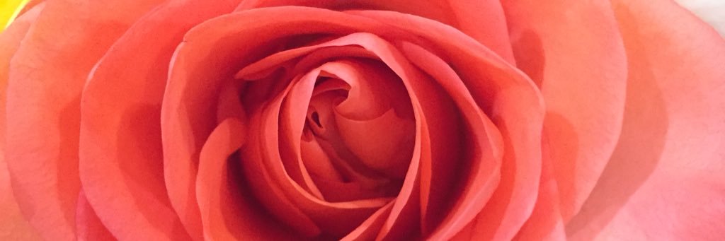 loujuc's profile banner image