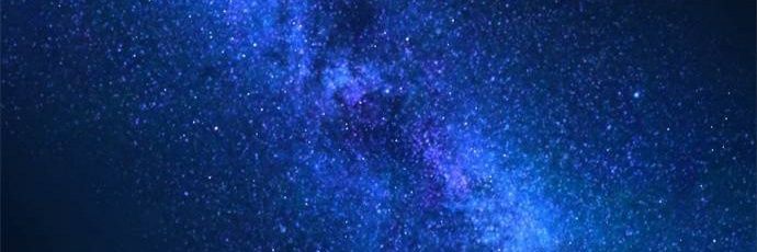 bee_the_WAY's profile banner image