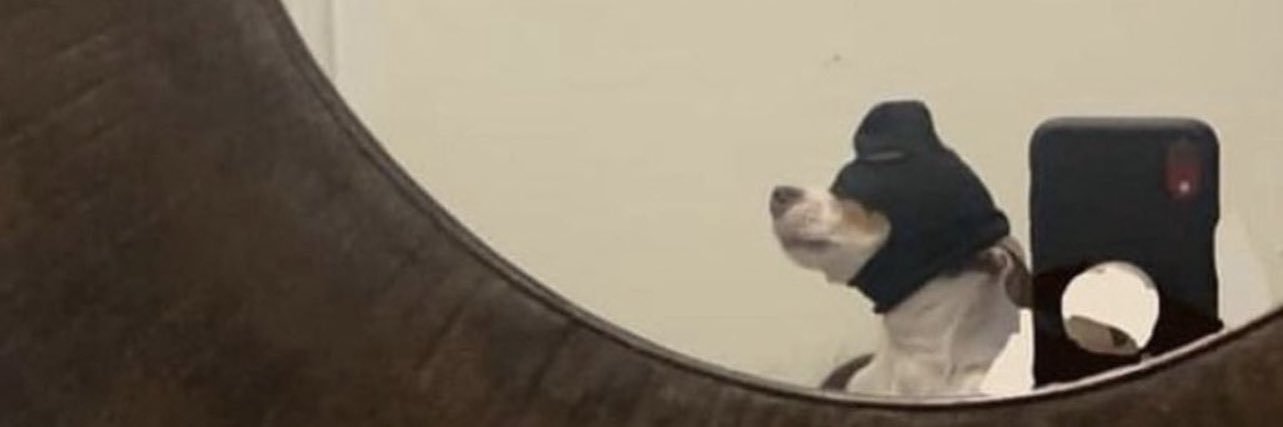 avdreyssb's profile banner image