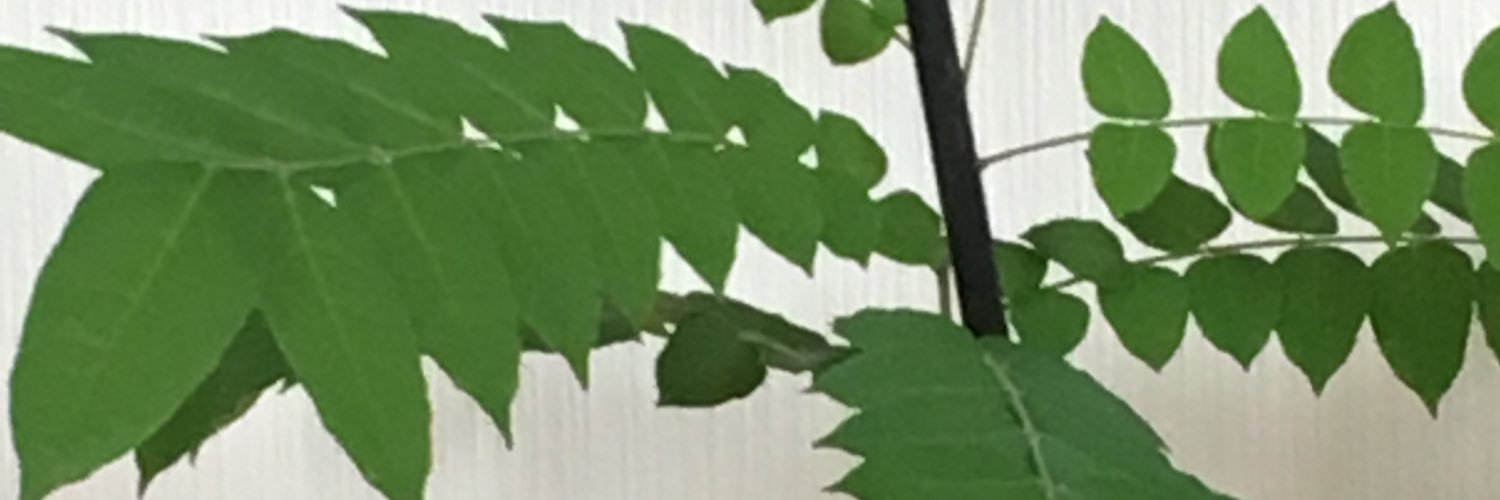 Yuusuke090807's profile banner image