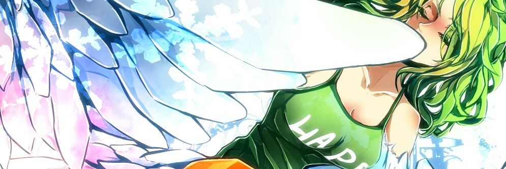Twitter banner for @Haonki