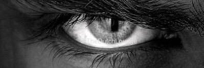 fox_foxof22's profile banner image