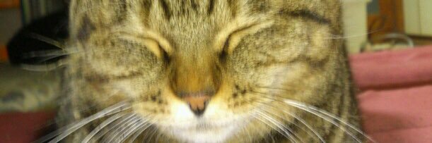upio0327's profile banner image