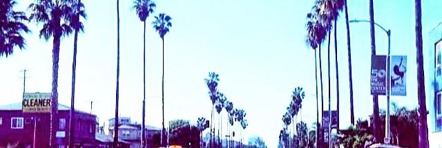 KelsiTrystin's profile banner image