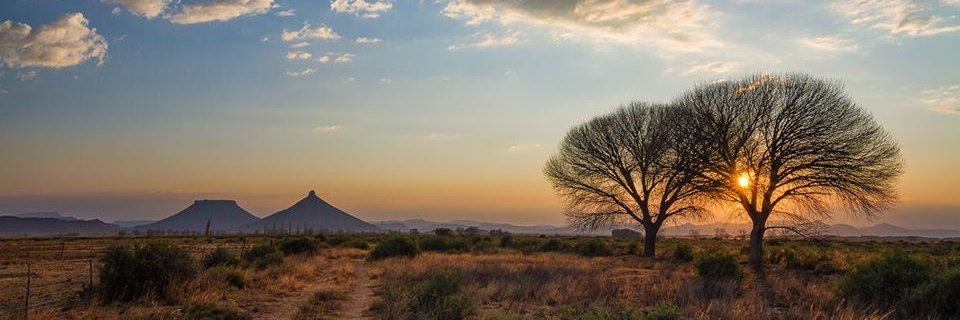 CasperCoetzer's profile banner image