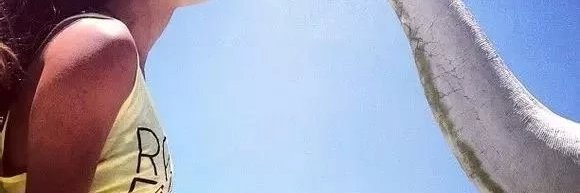 PatAdie1's profile banner image