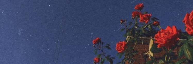 Trlckyy's profile banner image