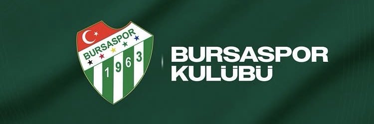 Tulpar banner