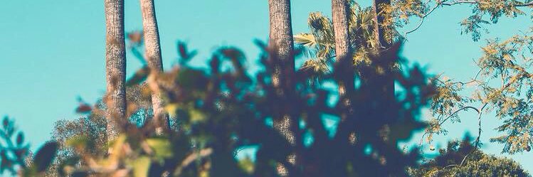 aliasgbolly's profile banner image