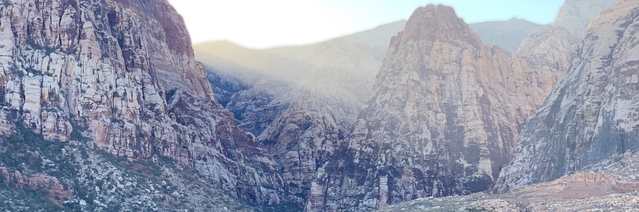 nongee's profile banner image