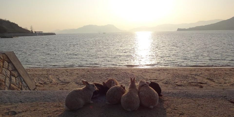 すみこ banner