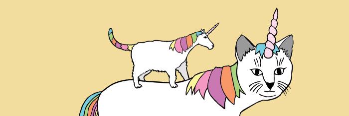 שלעד גליט banner