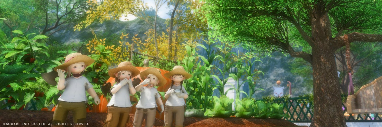 oimo_ff14's profile banner image