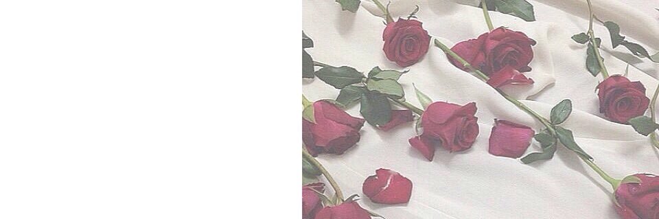 fu_ma_378's profile banner image