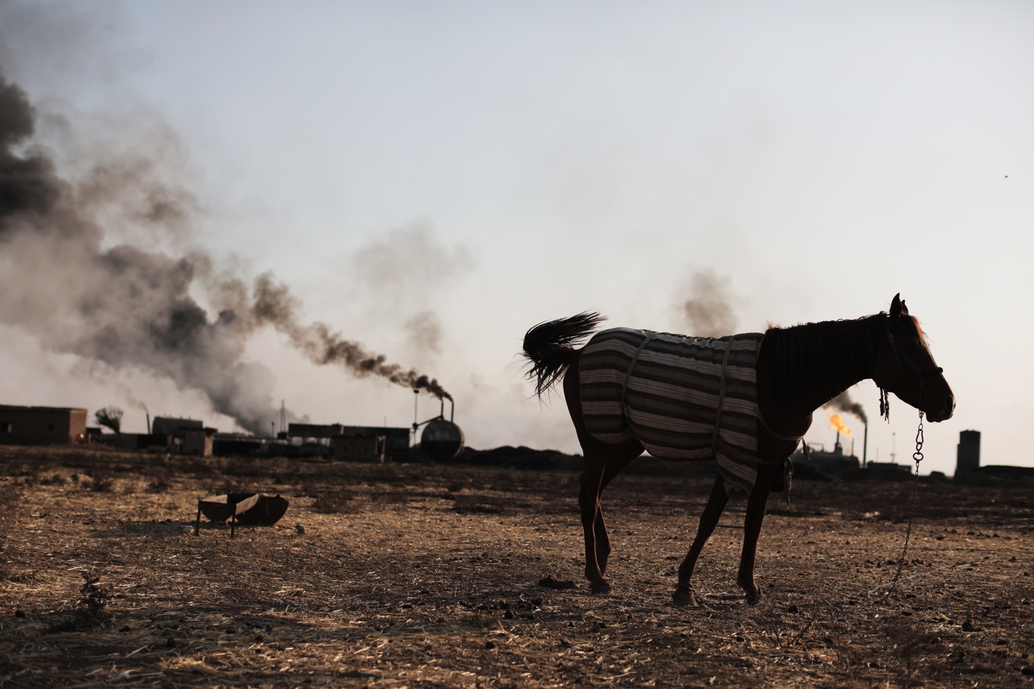 Puk Damsgård banner