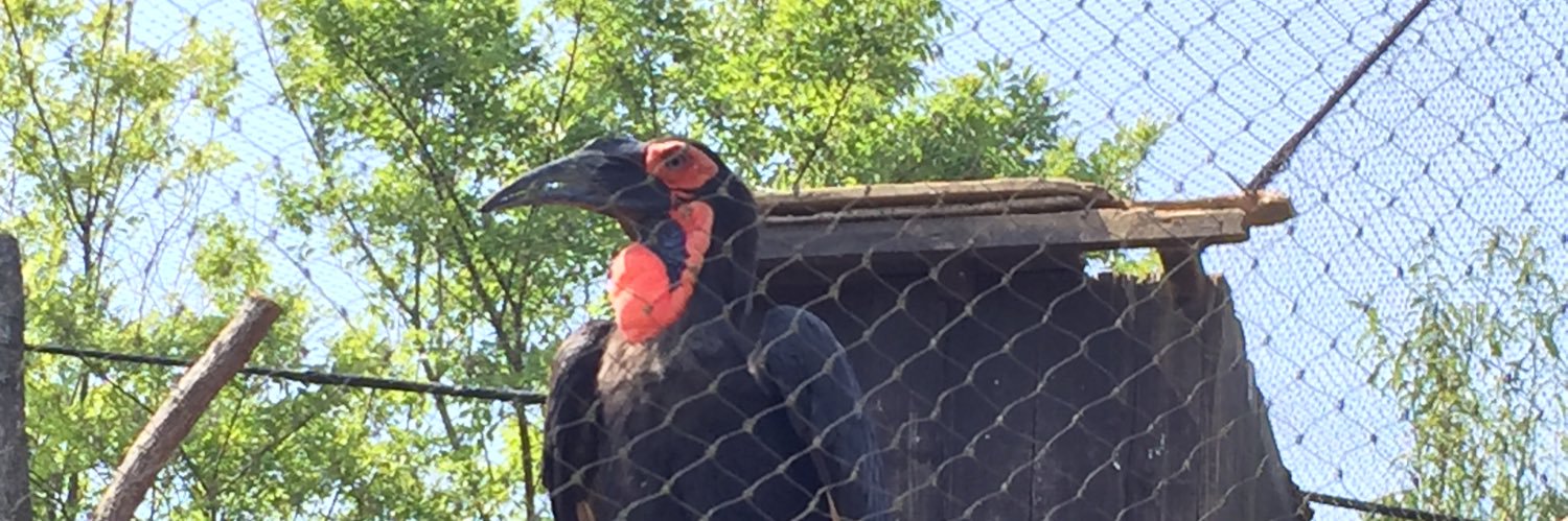 K ・R・ドレッドハン⋈ banner