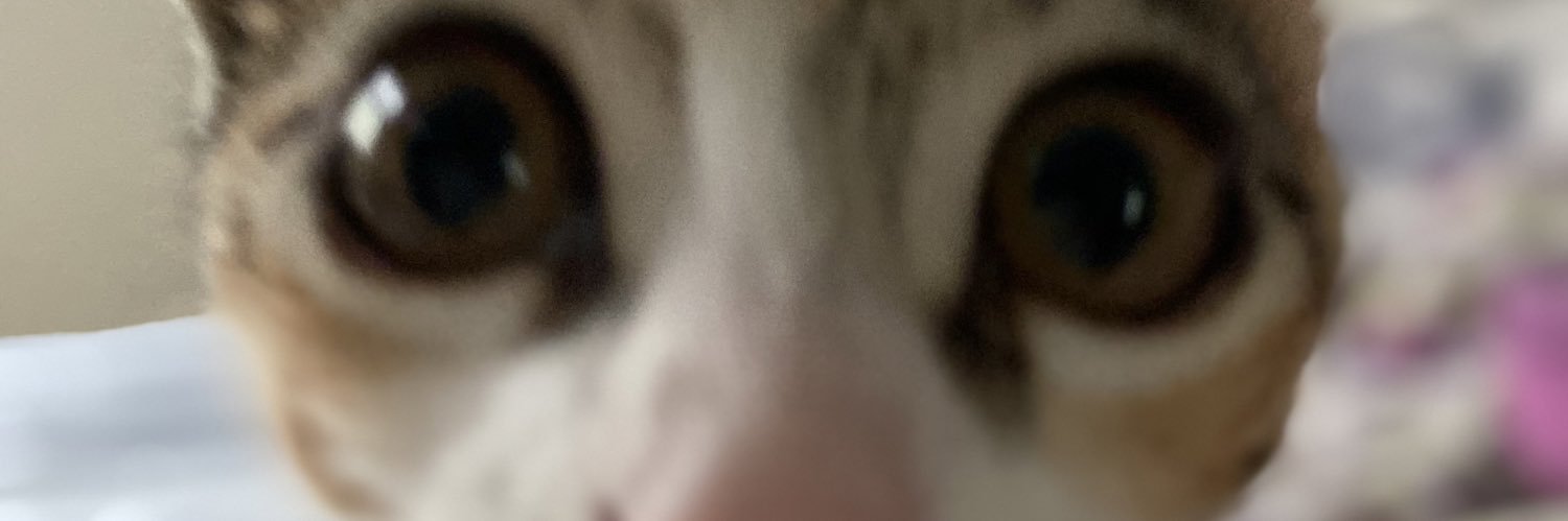 Rafaela Freitas banner