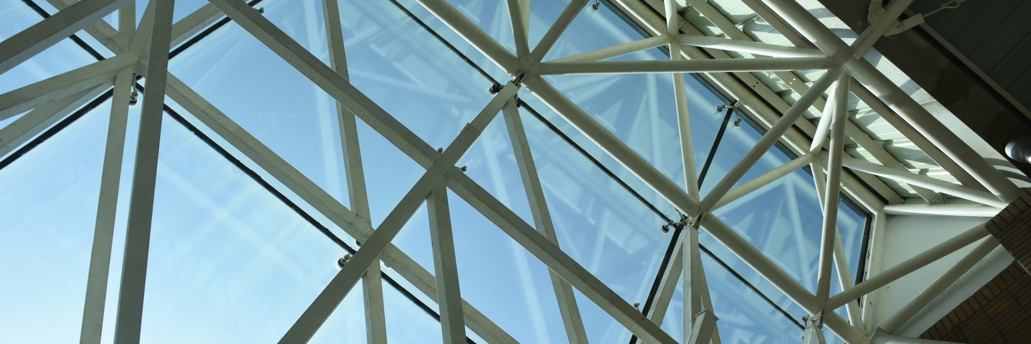 osfg banner