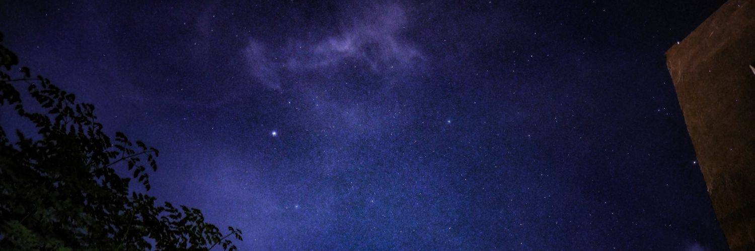 vennsison's profile banner image
