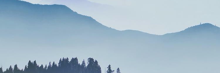 mistyriver11's profile banner image