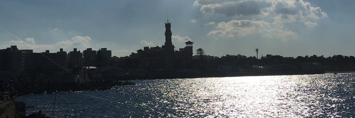 ProfAliNHassan's profile banner image