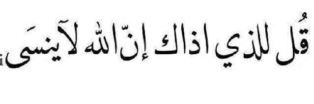 🦅Mohamed elhagar banner