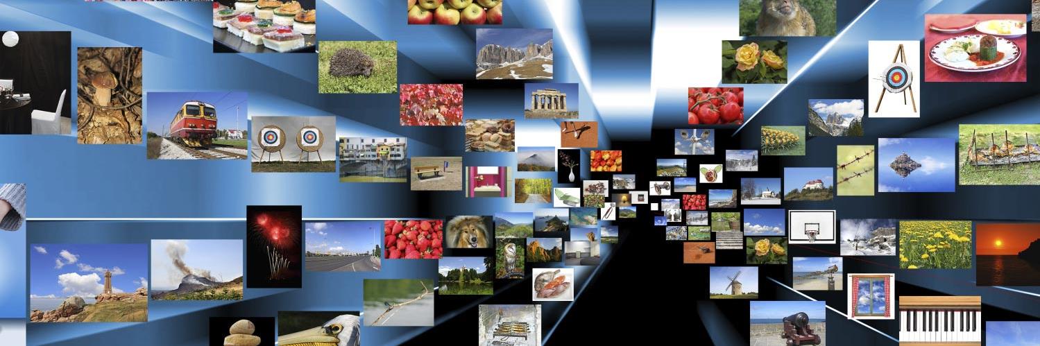 IBAuthority's profile banner image
