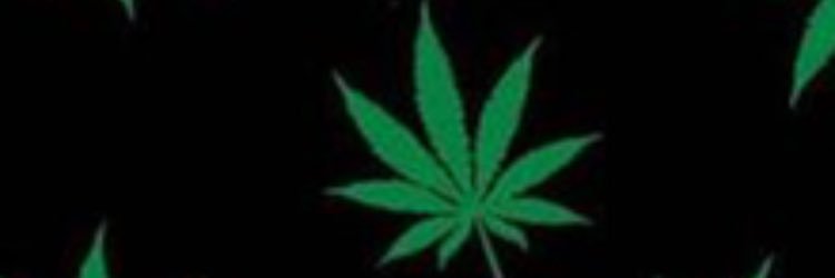 chill_brooks's profile banner image
