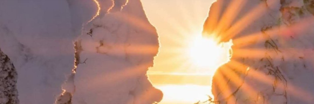 SEfimova's profile banner image