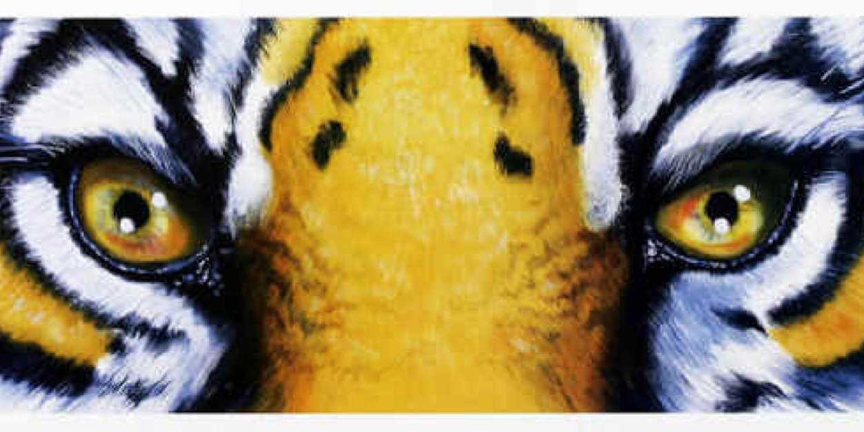 1tigerbeau's profile banner image